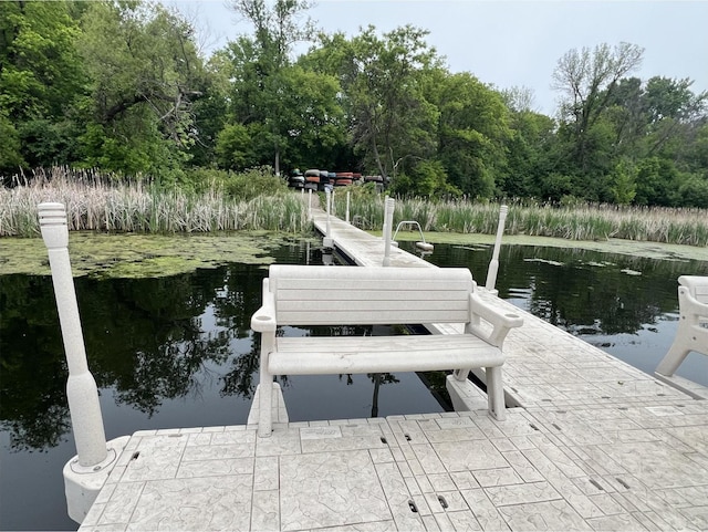 11560 Red Fox Dr, Maple Grove, MN 55369 - dock area featuring a water view
