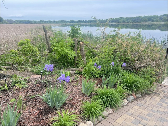 11560 Red Fox Dr, Maple Grove, MN 55369 - view of yard featuring a water view