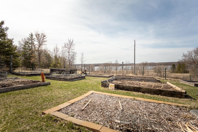 view of yard with a garden