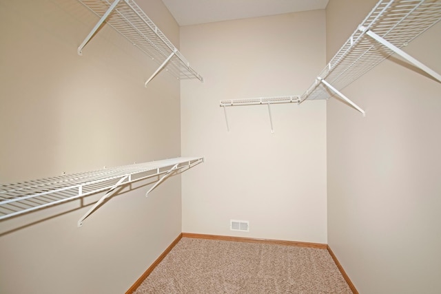 7931 Pinnacle Ave NE, Otsego, MN 55330 - walk in closet with carpet floors