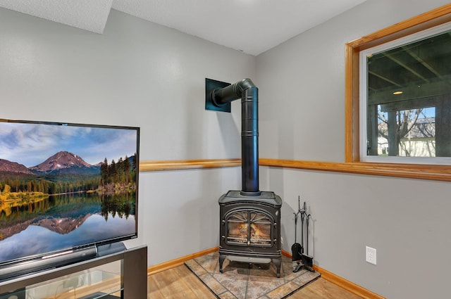 details featuring baseboards, a wood stove, and wood finished floors