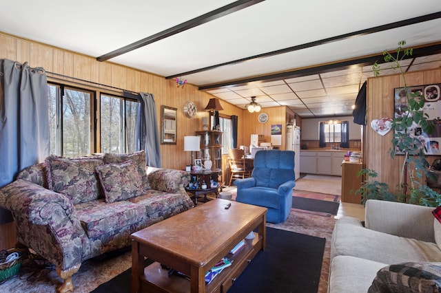 living room with wooden walls