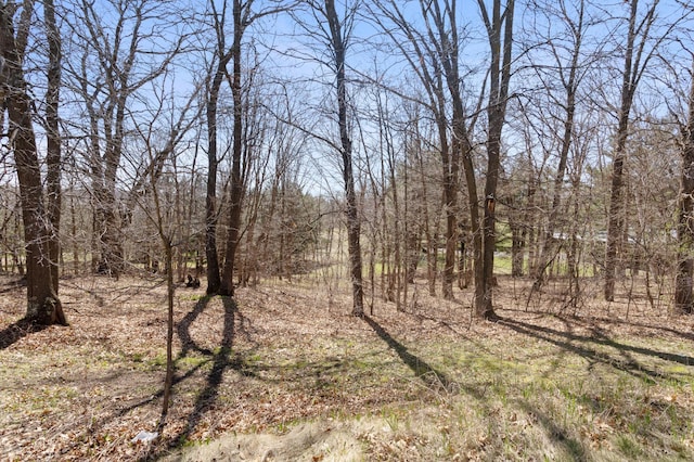 view of nature