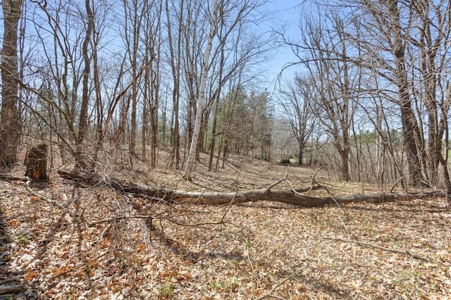 view of local wilderness