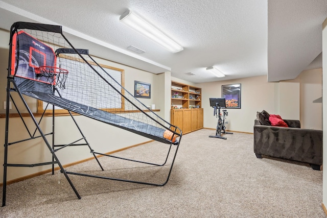 4545 Terraceview Ln N, Plymouth, MN 55446 - workout area featuring carpet, a textured ceiling, and baseboards