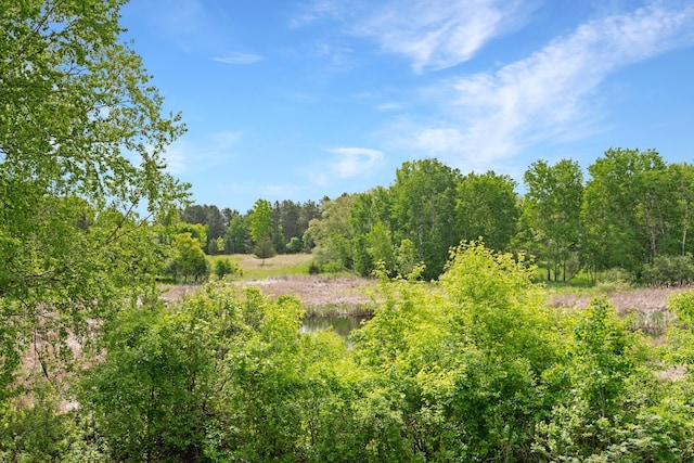2806 Jasmine Ct, Saint Cloud, MN 56301 - view of tree filled area with a water view