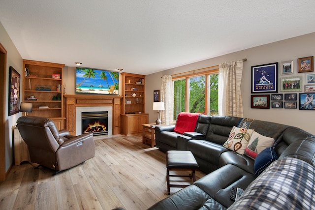 2806 Jasmine Ct, Saint Cloud, MN 56301 - living area featuring light wood finished floors and a glass covered fireplace