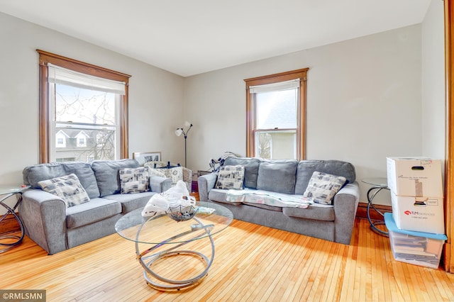 living room with wood-type flooring and a healthy amount of sunlight