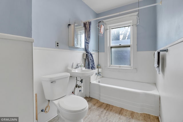 bathroom with toilet, a sink, and a bathing tub