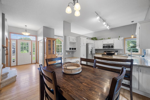 4032 Hollyhock Cir N, Brooklyn Park, MN 55443 - dining space with light wood-style flooring, plenty of natural light, a chandelier, and rail lighting