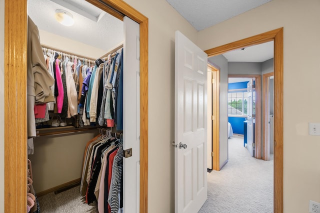 4032 Hollyhock Cir N, Brooklyn Park, MN 55443 - walk in closet with carpet