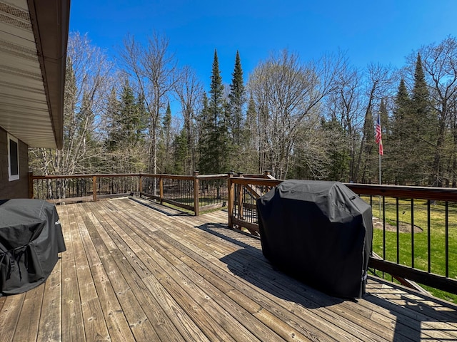 17783 Lookout Tower Rd NE, Hines, MN 56647 - deck with a grill