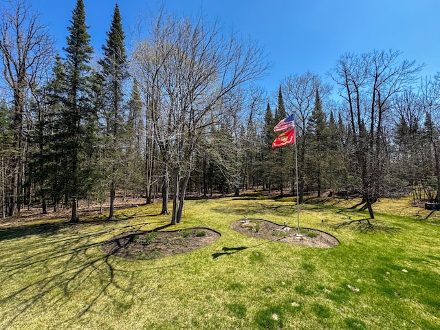 17783 Lookout Tower Rd NE, Hines, MN 56647 - view of green lawn