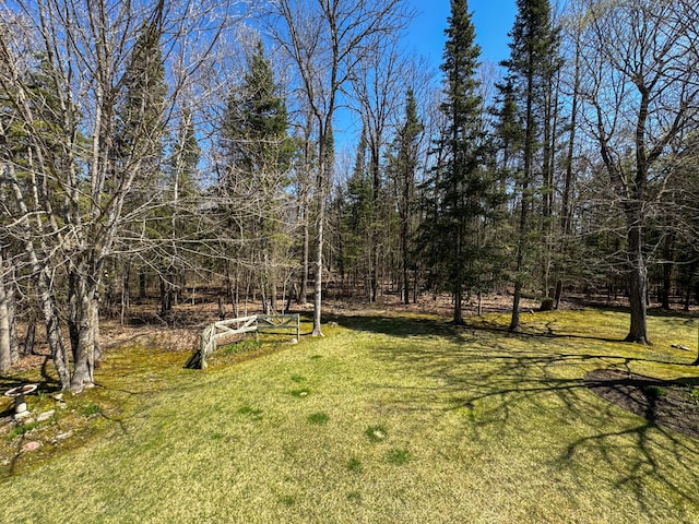 17783 Lookout Tower Rd NE, Hines, MN 56647 - view of grassy yard