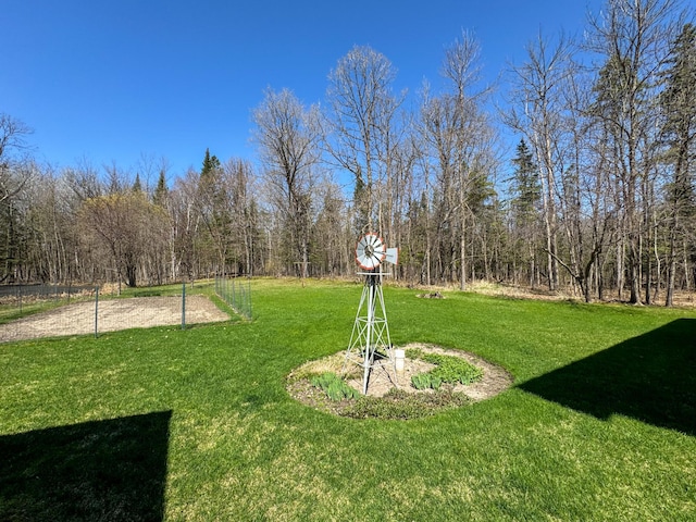 17783 Lookout Tower Rd NE, Hines, MN 56647 - view of green lawn