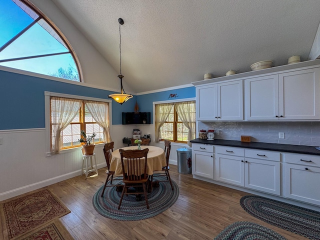 17783 Lookout Tower Rd NE, Hines, MN 56647 - dining room with a textured ceiling, light wood-style flooring, a wainscoted wall, baseboards, and high vaulted ceiling
