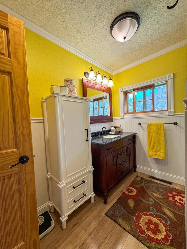 17783 Lookout Tower Rd NE, Hines, MN 56647 - bathroom featuring a textured ceiling, wainscoting, wood finished floors, crown molding, and vanity
