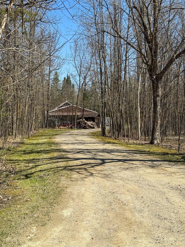 17783 Lookout Tower Rd NE, Hines, MN 56647 - view of yard featuring a carport, a forest view, and dirt driveway