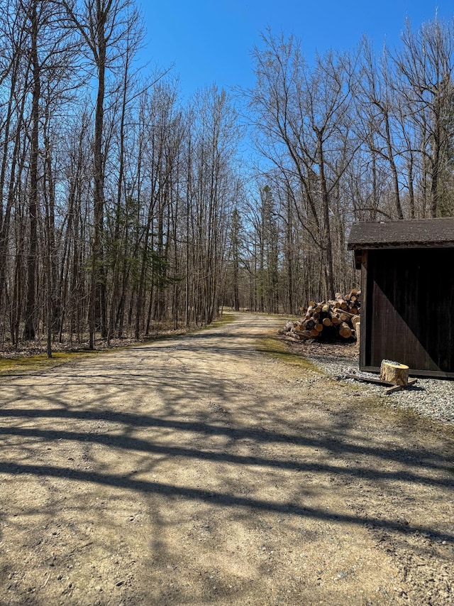 17783 Lookout Tower Rd NE, Hines, MN 56647 - view of dirt / gravel road with a view of trees