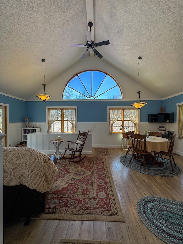 17783 Lookout Tower Rd NE, Hines, MN 56647 - living area with a textured ceiling, lofted ceiling, healthy amount of natural light, wood finished floors, and ceiling fan