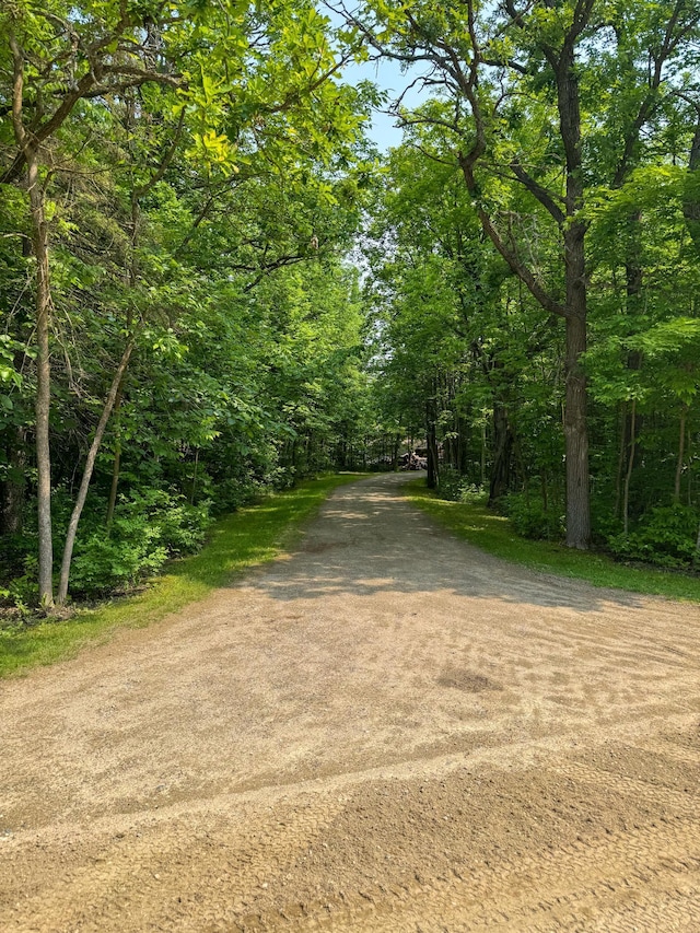 17783 Lookout Tower Rd NE, Hines, MN 56647 - view of street featuring a forest view