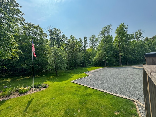 17783 Lookout Tower Rd NE, Hines, MN 56647 - view of grassy yard
