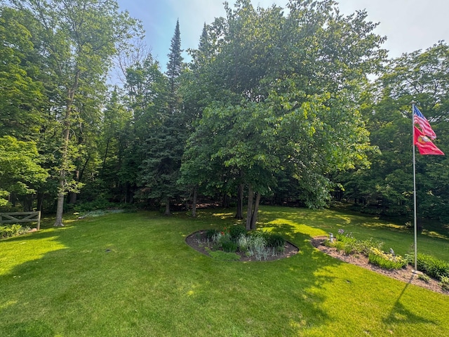 17783 Lookout Tower Rd NE, Hines, MN 56647 - view of grassy yard
