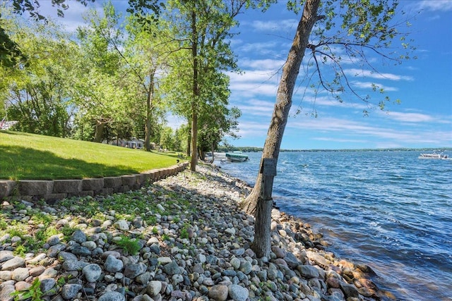 1122 Andrew Dr NE, Lake Andrew Twp, MN 56273 - dock with a water view and a yard