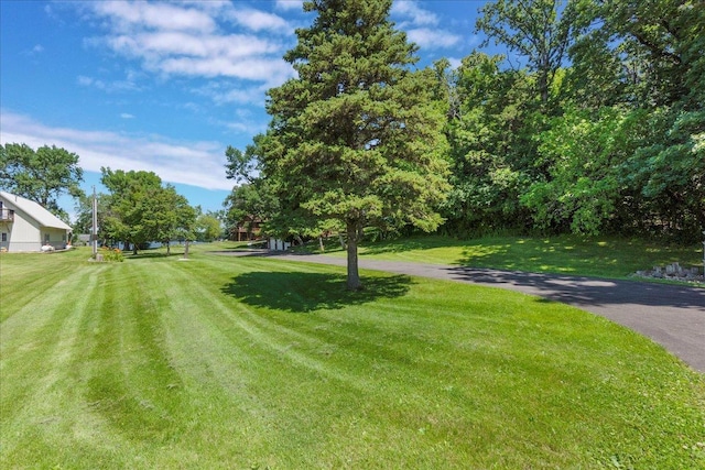 1122 Andrew Dr NE, Lake Andrew Twp, MN 56273 - view of green lawn