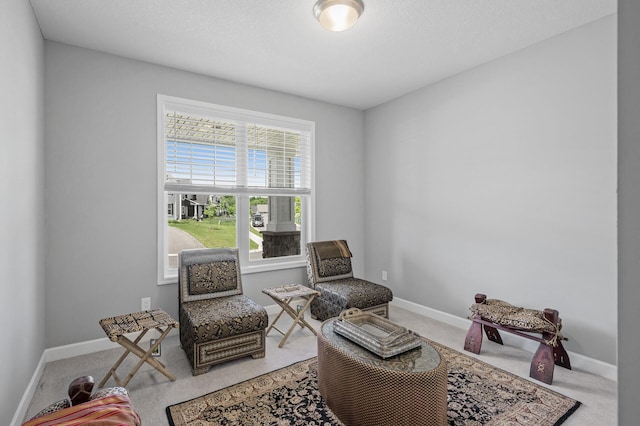 6674 Annabelle Ct, Corcoran, MN 55340 - living area with carpet floors and baseboards
