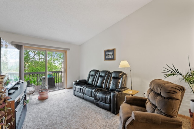 8366 Parkview Ave NE, Otsego, MN 55330 - carpeted living area featuring lofted ceiling