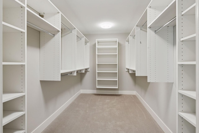 walk in closet featuring light carpet