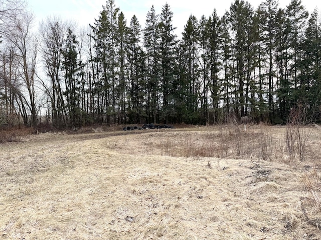 view of local wilderness