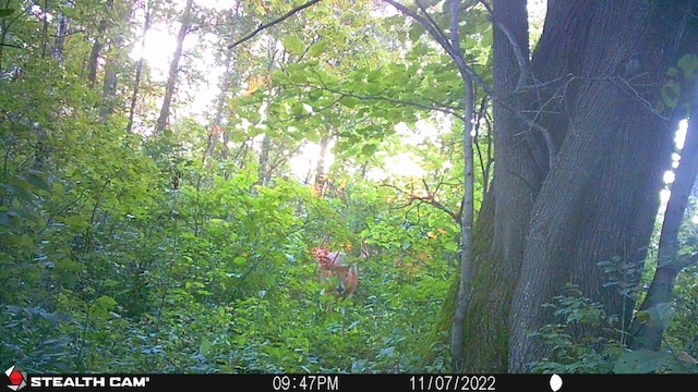Listing photo - caption unavailable