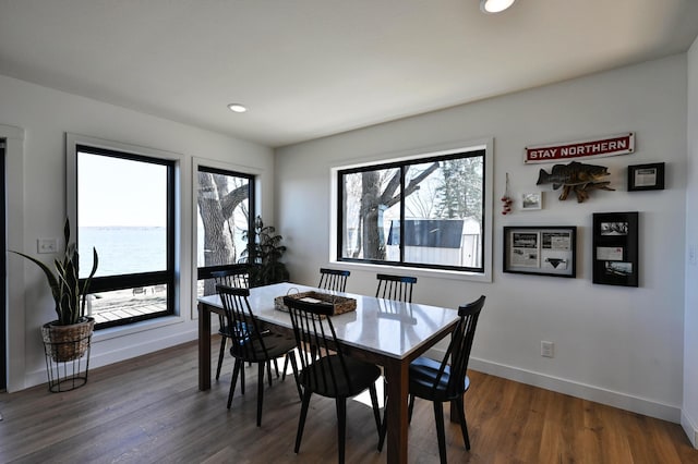 1011 Burgs Park Dr, Shell Lake, WI 54871 - dining room featuring dark wood finished floors, plenty of natural light, and baseboards