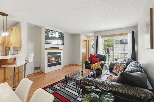 8397 Corcoran Cir Unit 26, Inver Grove Heights, MN 55076 - living room with light wood-type flooring, a glass covered fireplace, and a textured ceiling