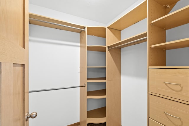 view of walk in closet
