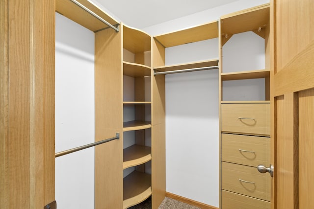 walk in closet with carpet
