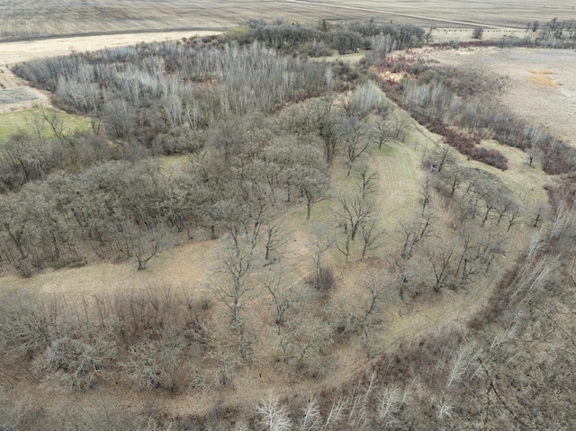 drone / aerial view featuring a rural view