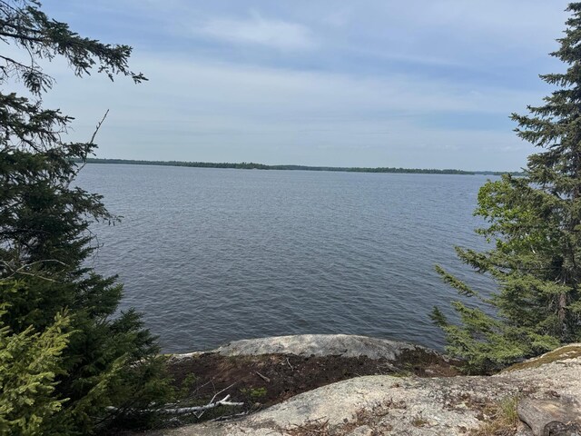 XX3.64 Gamma Rd, Kabetogama Twp, MN 56669
