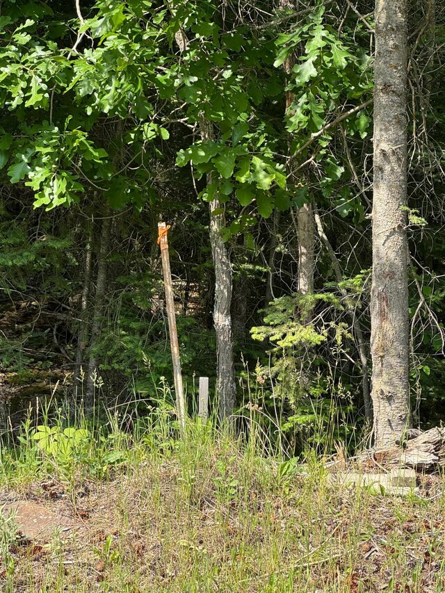 XX3.64 Gamma Rd, Kabetogama Twp, MN 56669