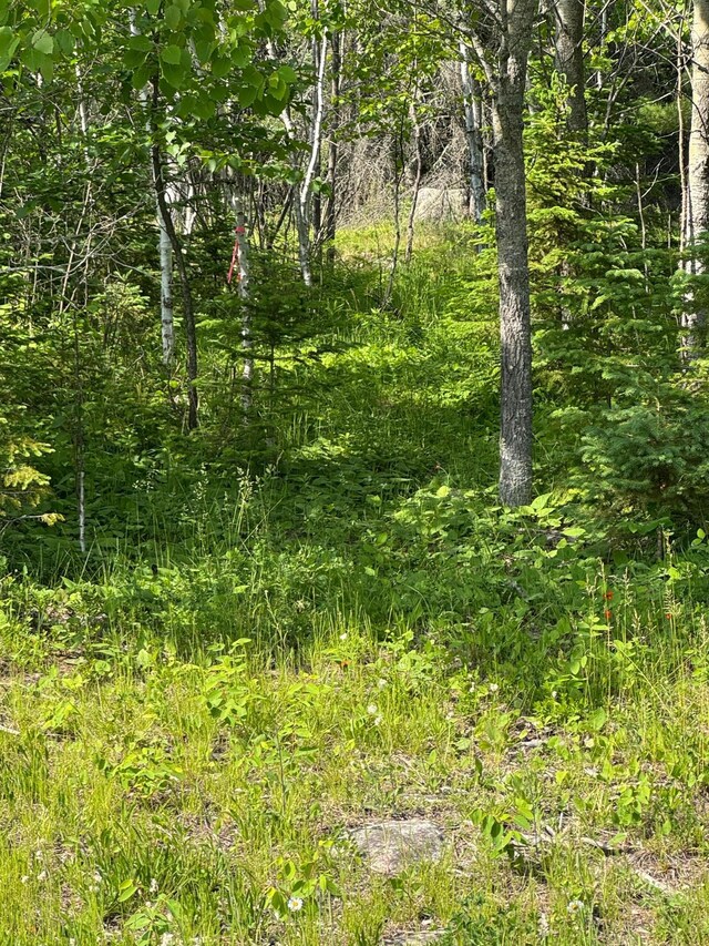 XX3.64 Gamma Rd, Kabetogama Twp, MN 56669