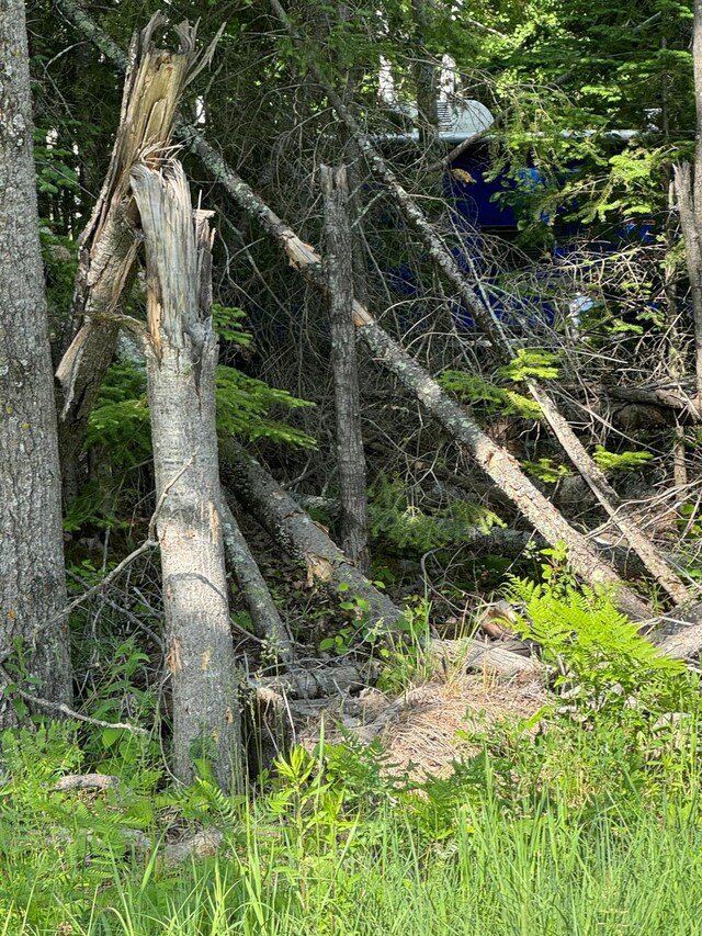 XX3.64 Gamma Rd, Kabetogama Twp, MN 56669