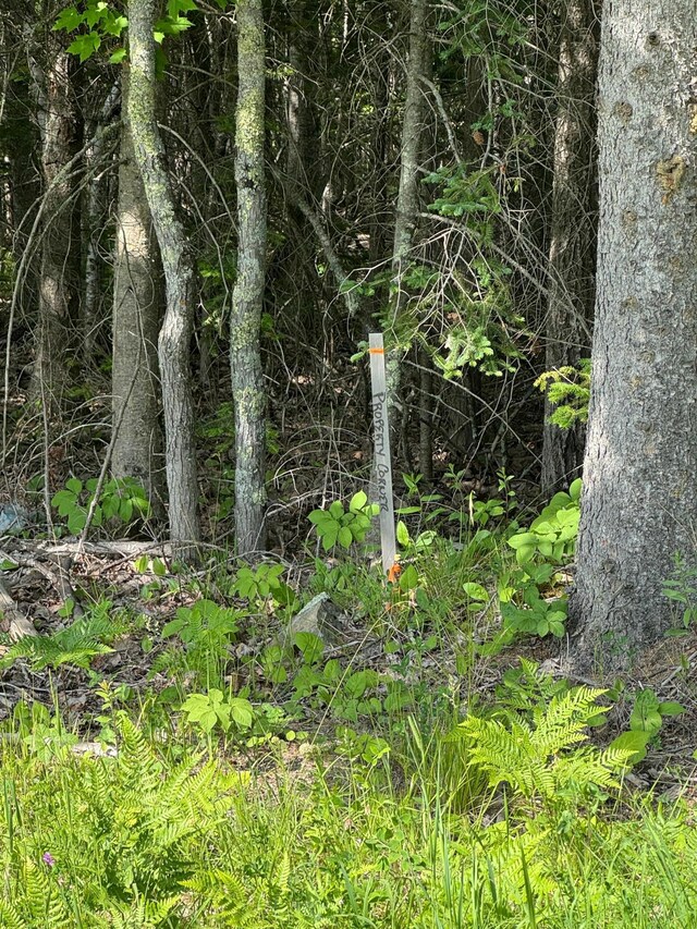 XX3.64 Gamma Rd, Kabetogama Twp, MN 56669
