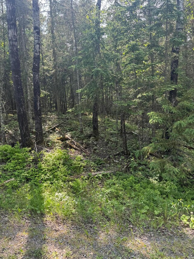 XX3.64 Gamma Rd, Kabetogama Twp, MN 56669