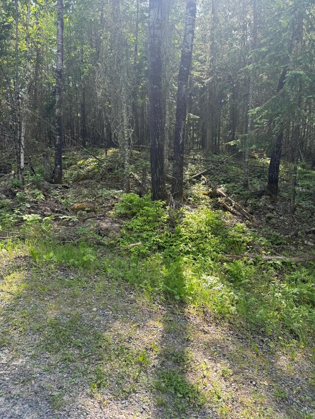 XX3.64 Gamma Rd, Kabetogama Twp, MN 56669