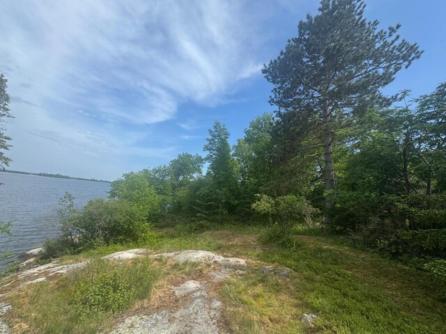 XX3.64 Gamma Rd, Kabetogama Twp, MN 56669