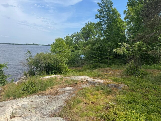 XX3.64 Gamma Rd, Kabetogama Twp, MN 56669
