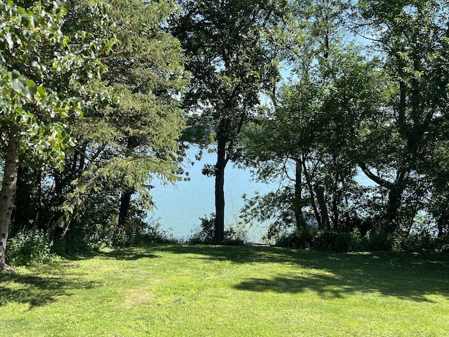 310 Highcroft Dr, Windom, MN 56101 - water view