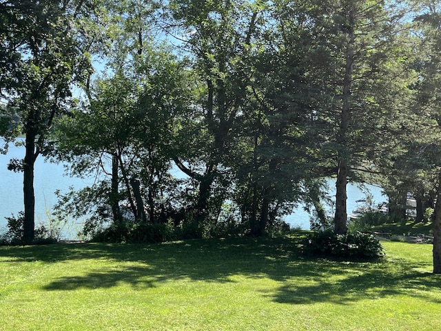 310 Highcroft Dr, Windom, MN 56101 - view of green lawn